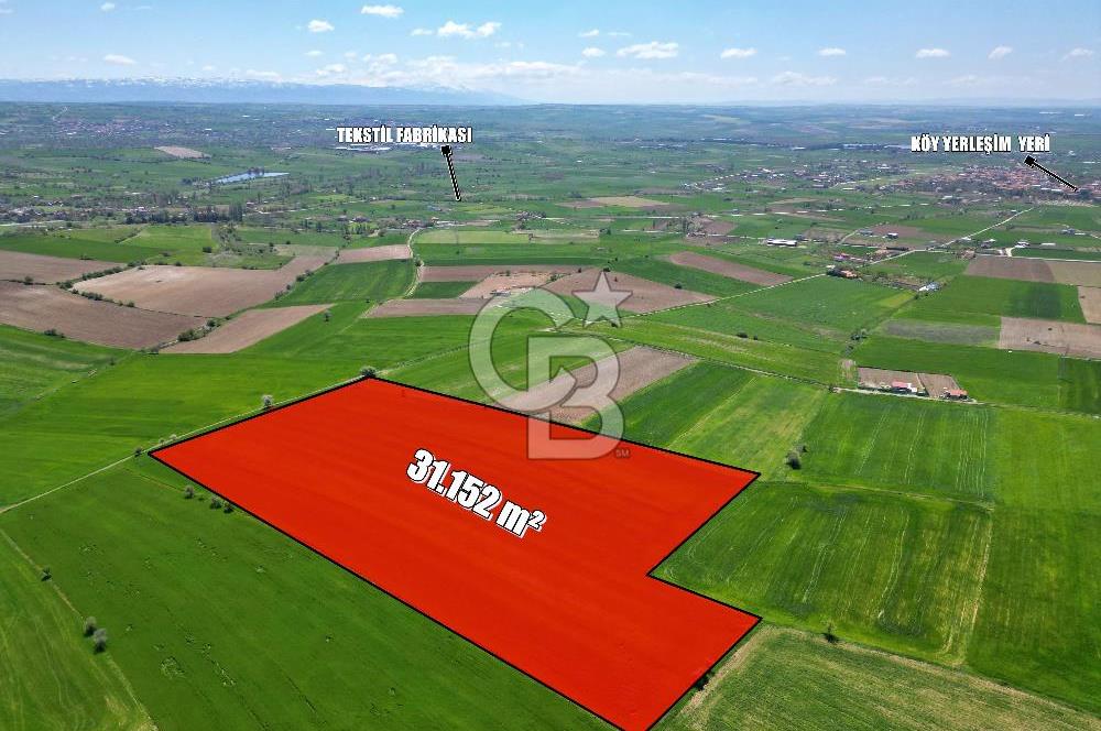 CB OPİA'DAN '' MESUDİYE'DE 31.152 m² TARLA'' Ş. MERKEZİNE YAKIN