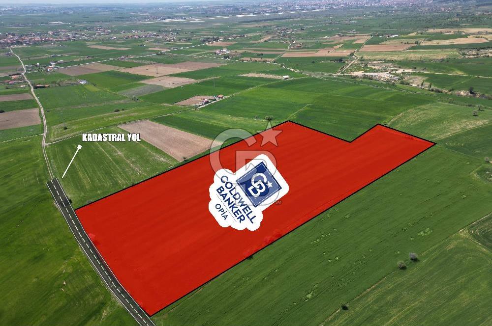 CB OPİA'DAN '' MESUDİYE'DE 31.152 m² TARLA'' Ş. MERKEZİNE YAKIN