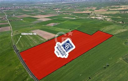 CB OPİA'DAN '' MESUDİYE'DE 31.152 m² TARLA'' Ş. MERKEZİNE YAKIN