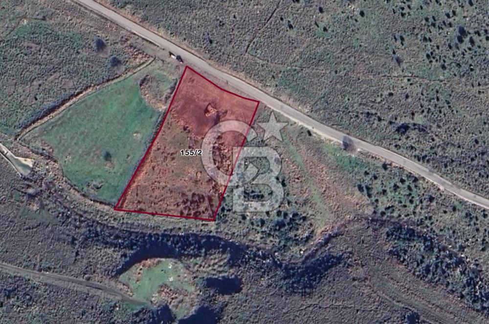 CB ODAKTAN Aliağa Uzunhasanlarda Yola Cephe 317m² Hisseli Tarla