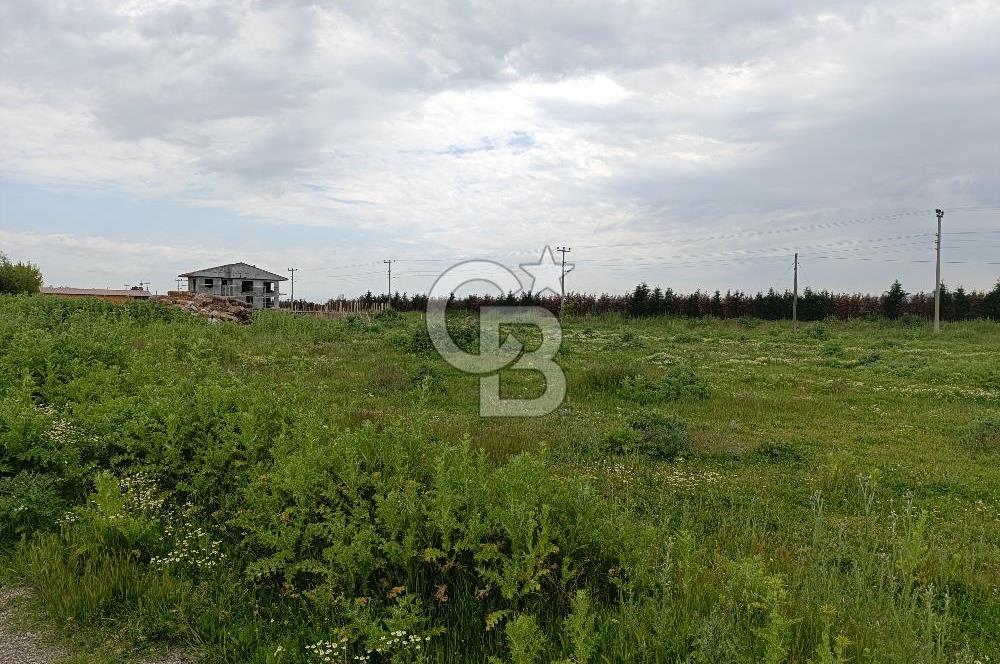 Gelibolu Evreşe'de Yol Cepheli İmarlı Arsa
