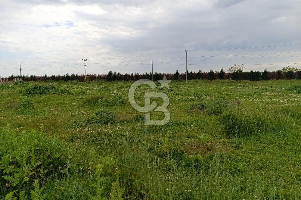 Gelibolu Evreşe'de Yol Cepheli İmarlı Arsa
