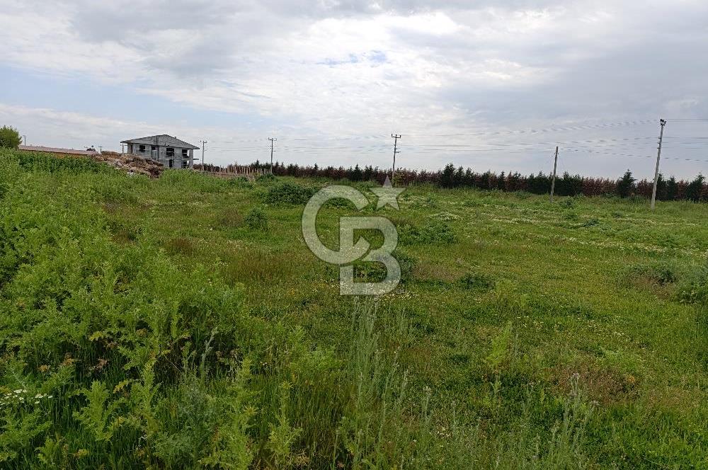 Gelibolu Evreşe'de Yol Cepheli İmarlı Arsa