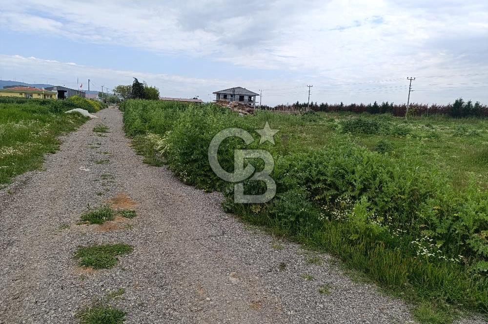 Gelibolu Evreşe'de Yol Cepheli İmarlı Arsa