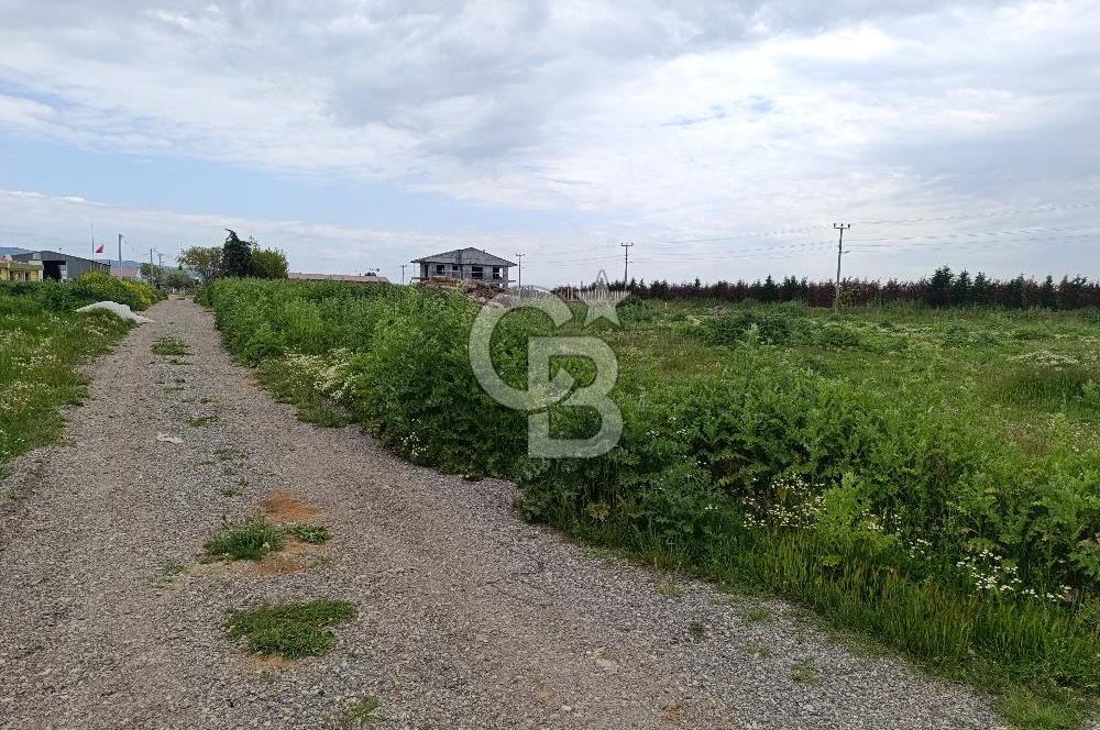 Gelibolu Evreşe'de Yol Cepheli İmarlı Arsa