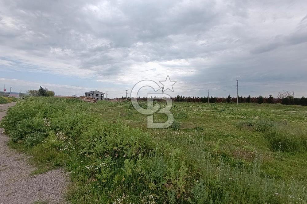 Gelibolu Evreşe'de Yol Cepheli İmarlı Arsa