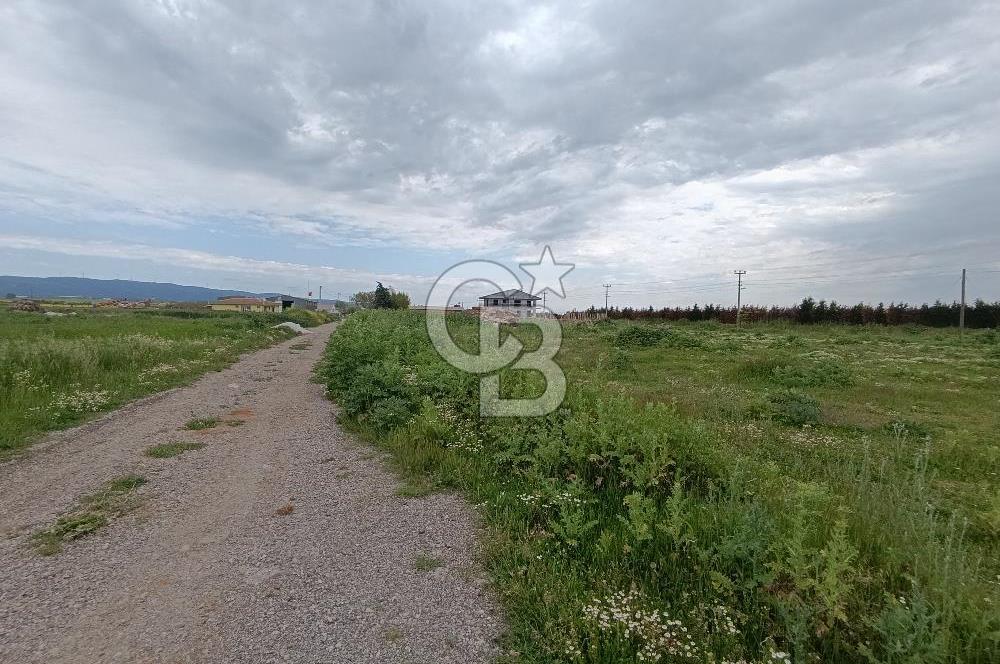 Gelibolu Evreşe'de Yol Cepheli İmarlı Arsa