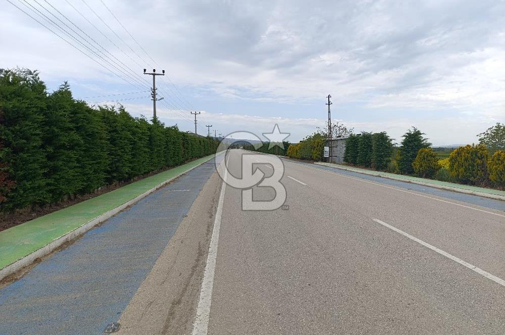 Gelibolu Evreşe'de Yol Cepheli İmarlı Arsa