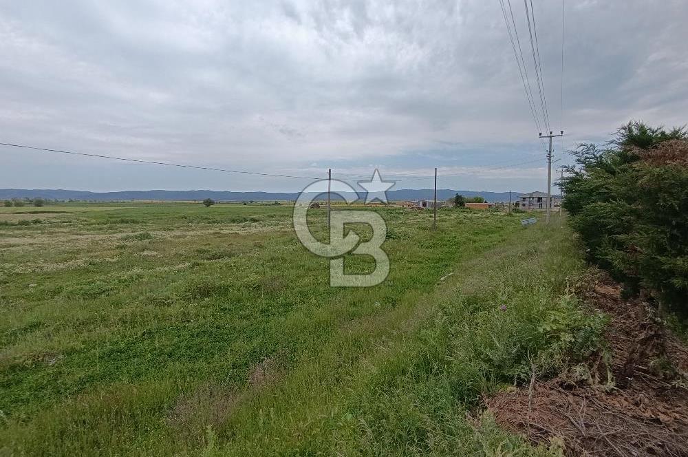 Gelibolu Evreşe'de Yol Cepheli İmarlı Arsa