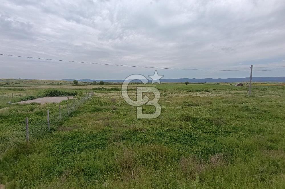 Gelibolu Evreşe'de Yol Cepheli İmarlı Arsa