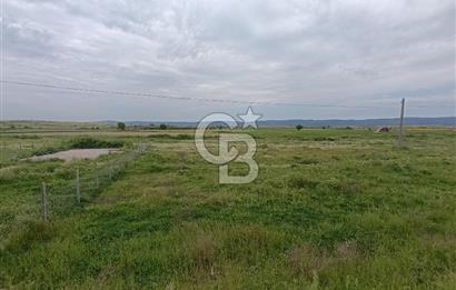 Gelibolu Evreşe'de Yol Cepheli İmarlı Arsa