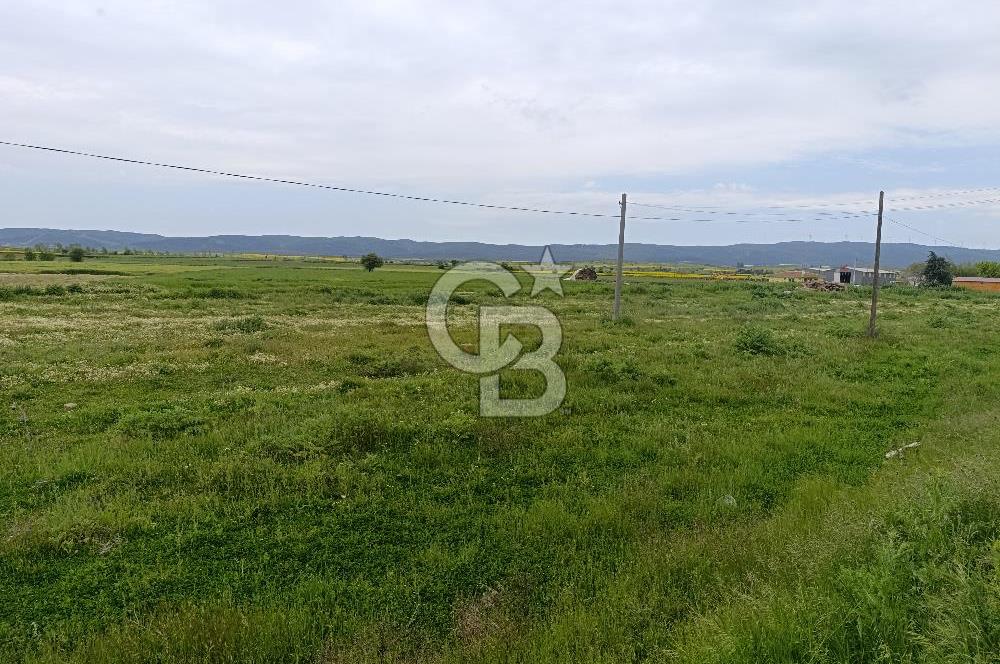 Gelibolu Evreşe'de Yol Cepheli İmarlı Arsa