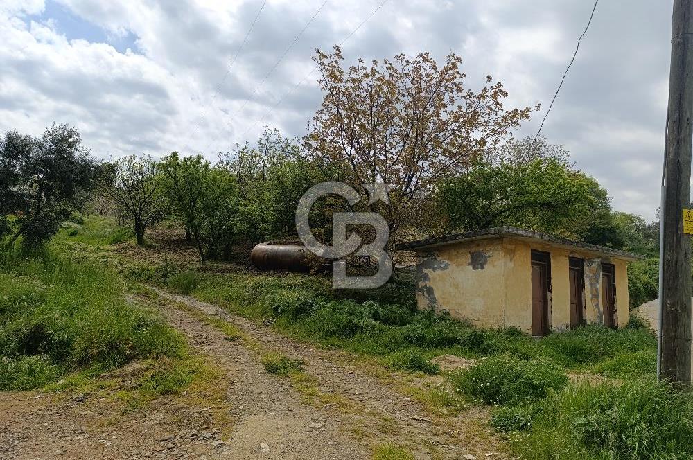 Gelibolu Cevizli Köyünde Köyiçi İmarlı Arsa