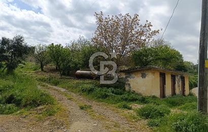 Gelibolu Cevizli Köyünde Köyiçi İmarlı Arsa