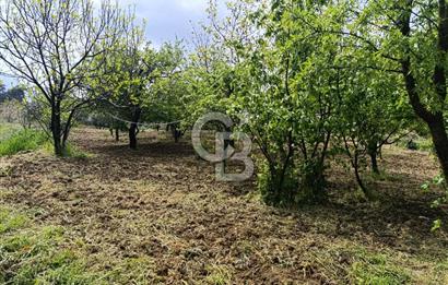 Gelibolu Cevizli Köyünde Köyiçi İmarlı Arsa