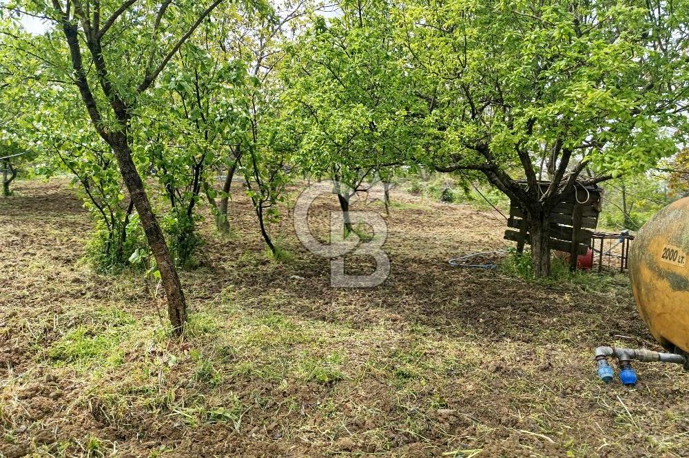 Gelibolu Cevizli Köyünde Köyiçi İmarlı Arsa