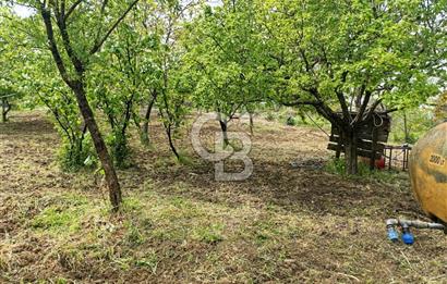 Gelibolu Cevizli Köyünde Köyiçi İmarlı Arsa