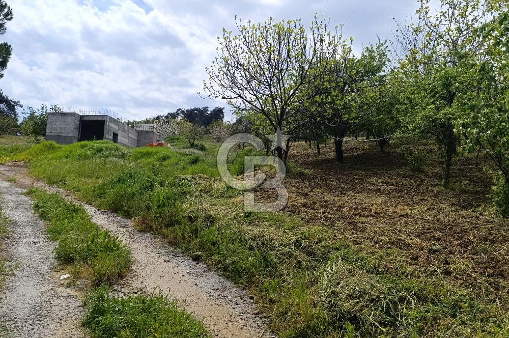 Gelibolu Cevizli Köyünde Köyiçi İmarlı Arsa