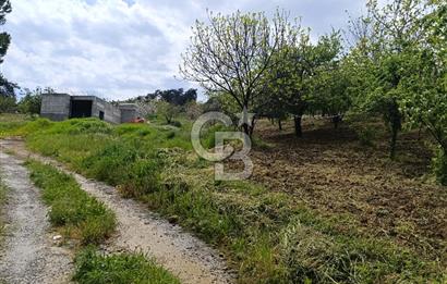 Gelibolu Cevizli Köyünde Köyiçi İmarlı Arsa