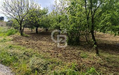 Gelibolu Cevizli Köyünde Köyiçi İmarlı Arsa