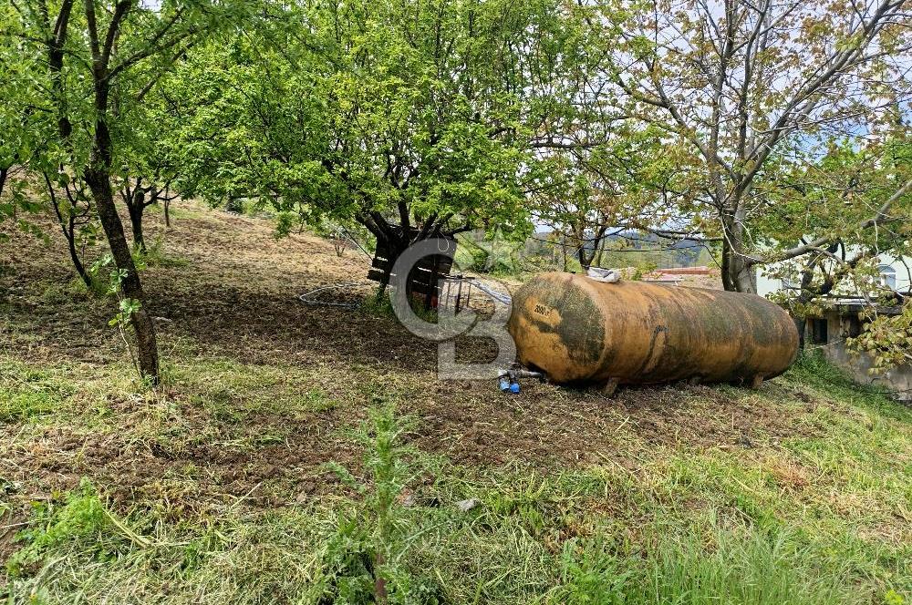 Gelibolu Cevizli Köyünde Köyiçi İmarlı Arsa