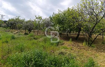 Gelibolu Cevizli Köyünde Köyiçi İmarlı Arsa