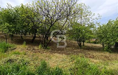 Gelibolu Cevizli Köyünde Köyiçi İmarlı Arsa