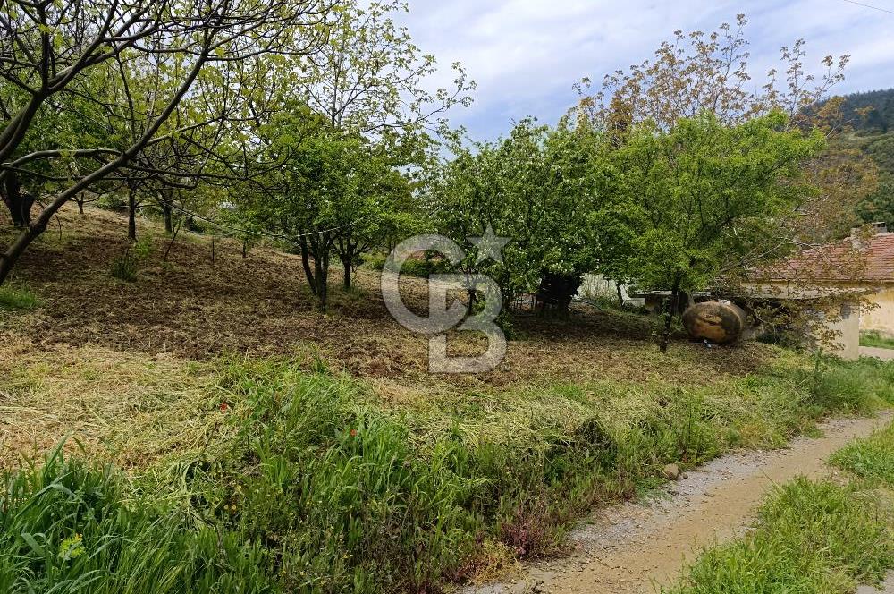 Gelibolu Cevizli Köyünde Köyiçi İmarlı Arsa