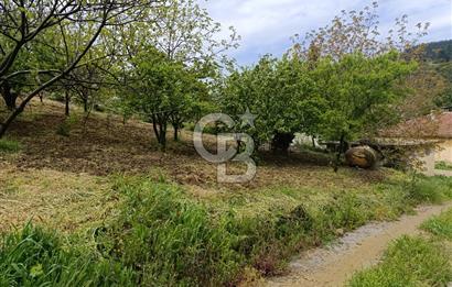 Gelibolu Cevizli Köyünde Köyiçi İmarlı Arsa