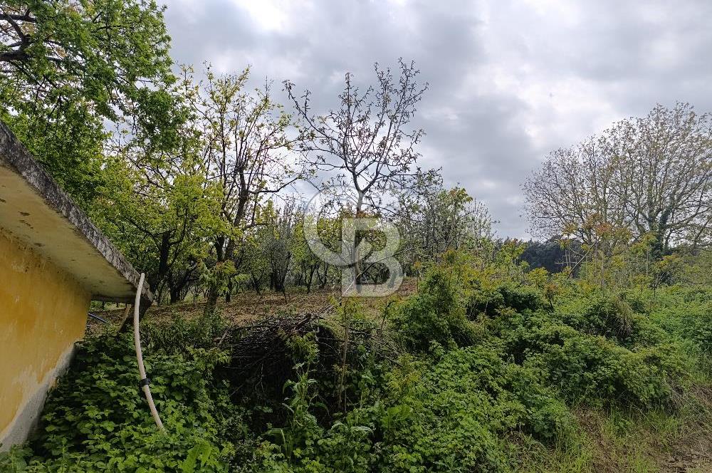 Gelibolu Cevizli Köyünde Köyiçi İmarlı Arsa