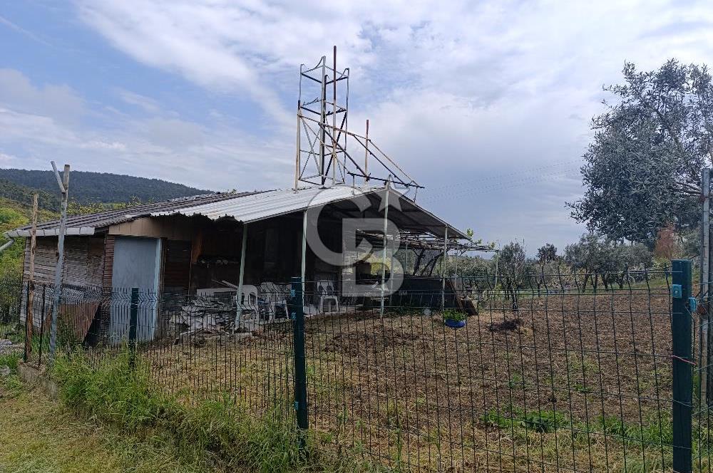 Gelibolu Cevizli Köyünde Köyiçi İmarlı Arsa