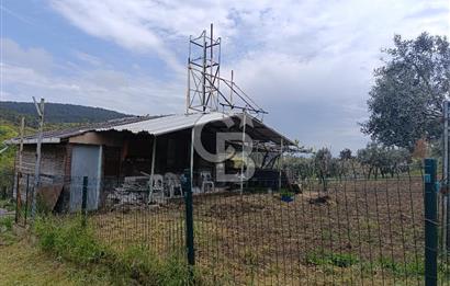 Gelibolu Cevizli Köyünde Köyiçi İmarlı Arsa