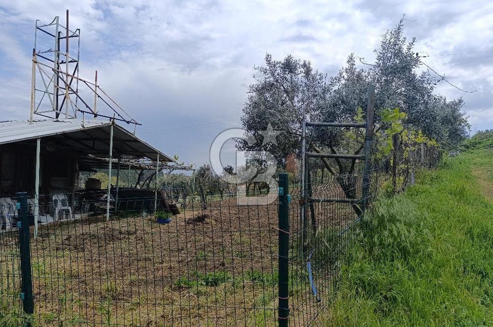 Gelibolu Cevizli Köyünde Köyiçi İmarlı Arsa