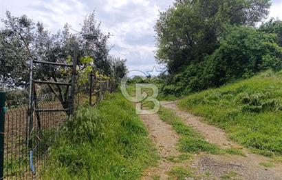 Gelibolu Cevizli Köyünde Köyiçi İmarlı Arsa