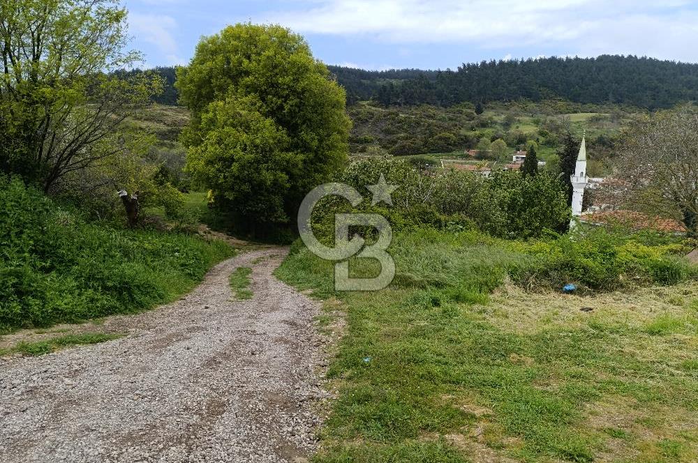 Gelibolu Cevizli Köyünde Köyiçi İmarlı Arsa
