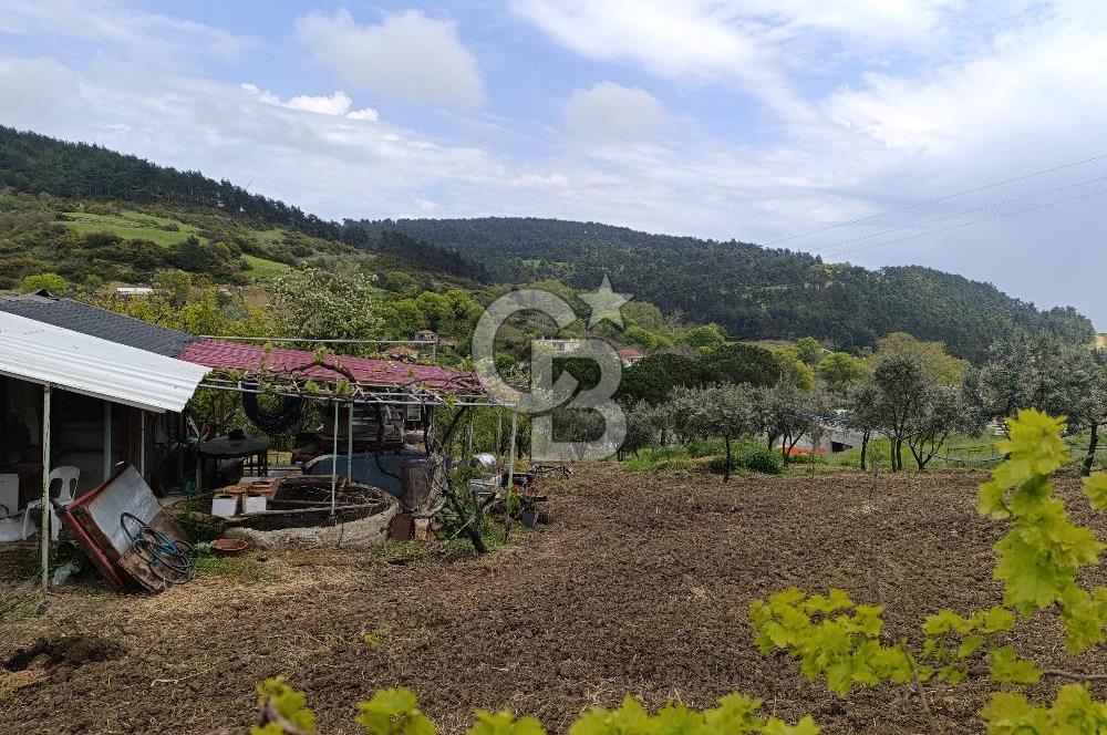 Gelibolu Cevizli Köyünde Köyiçi İmarlı Arsa
