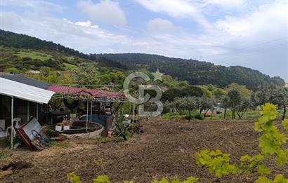 Gelibolu Cevizli Köyünde Köyiçi İmarlı Arsa