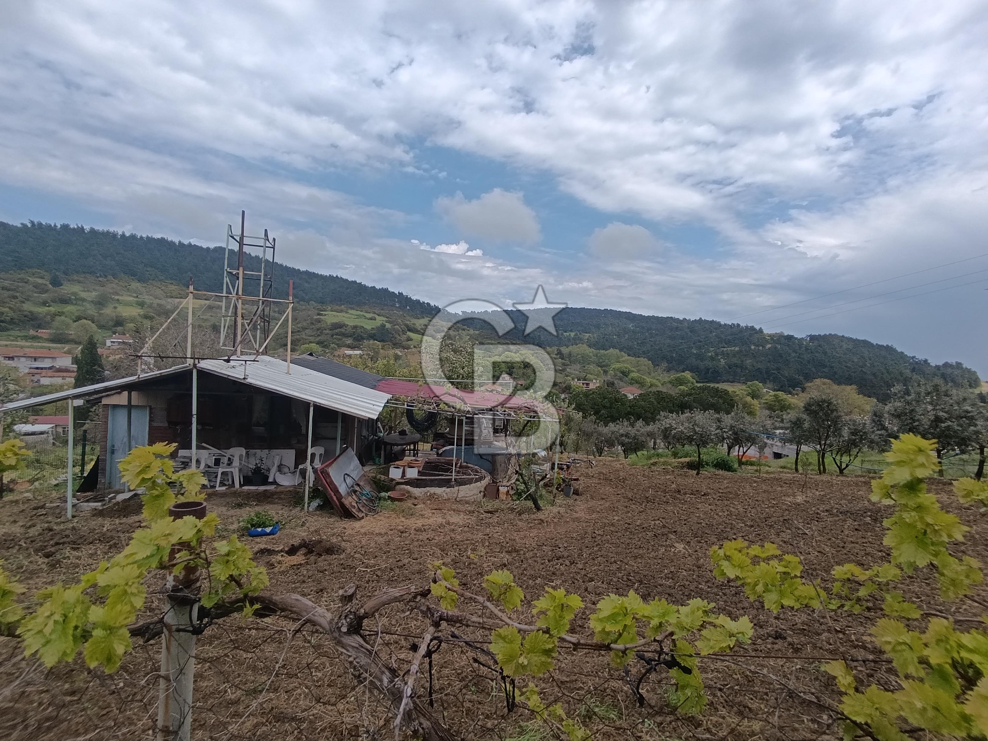 Gelibolu Cevizli Köyünde Köyiçi İmarlı Arsa