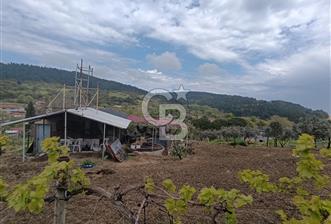 Gelibolu Cevizli Köyünde Köyiçi İmarlı Arsa - 5 - 350404