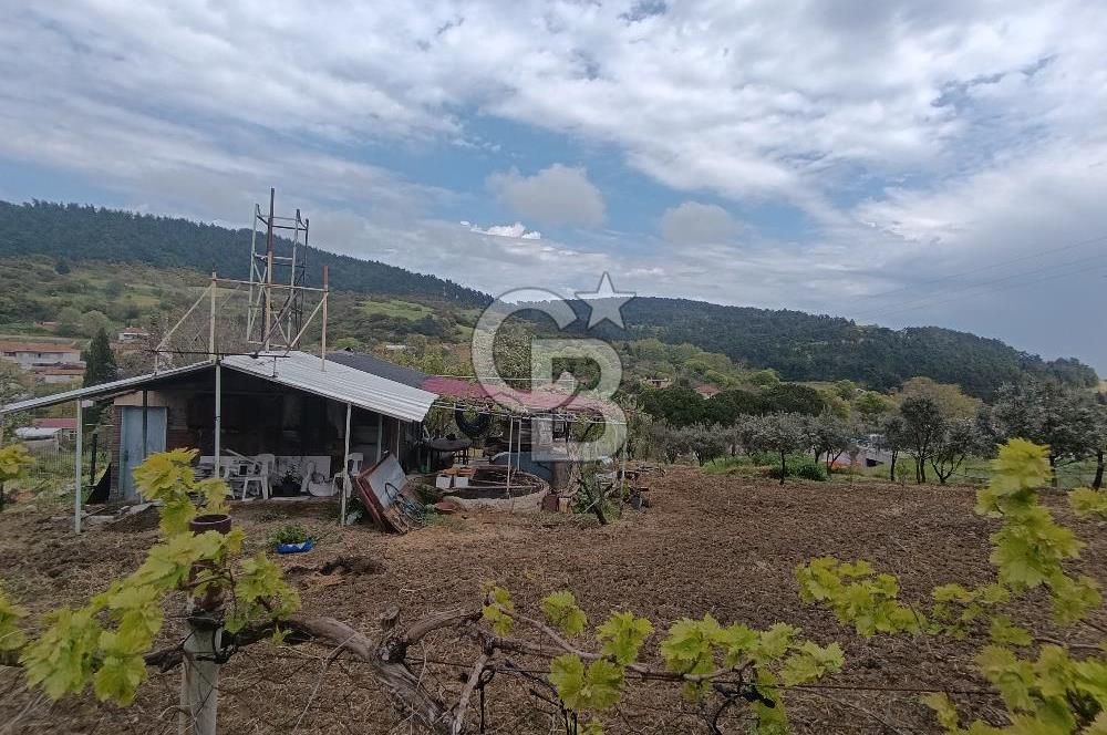 Gelibolu Cevizli Köyünde Köyiçi İmarlı Arsa