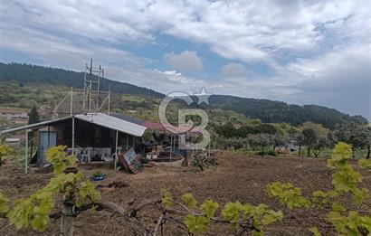 Gelibolu Cevizli Köyünde Köyiçi İmarlı Arsa