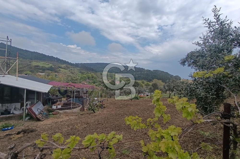 Gelibolu Cevizli Köyünde Köyiçi İmarlı Arsa