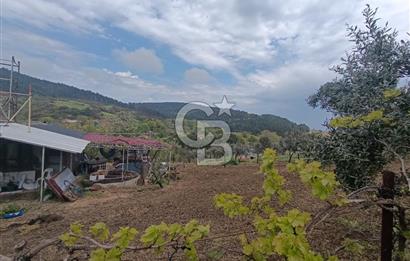 Gelibolu Cevizli Köyünde Köyiçi İmarlı Arsa