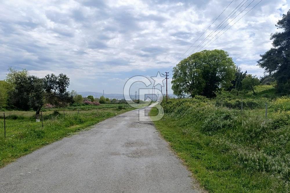 Gelibolu Cevizli Köyünde Köyiçi İmarlı Arsa
