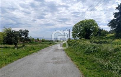 Gelibolu Cevizli Köyünde Köyiçi İmarlı Arsa
