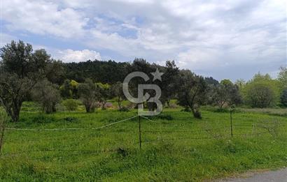 Gelibolu Cevizli Köyünde Köyiçi İmarlı Arsa
