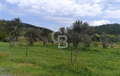 Gelibolu Cevizli Köyünde Köyiçi İmarlı Arsa