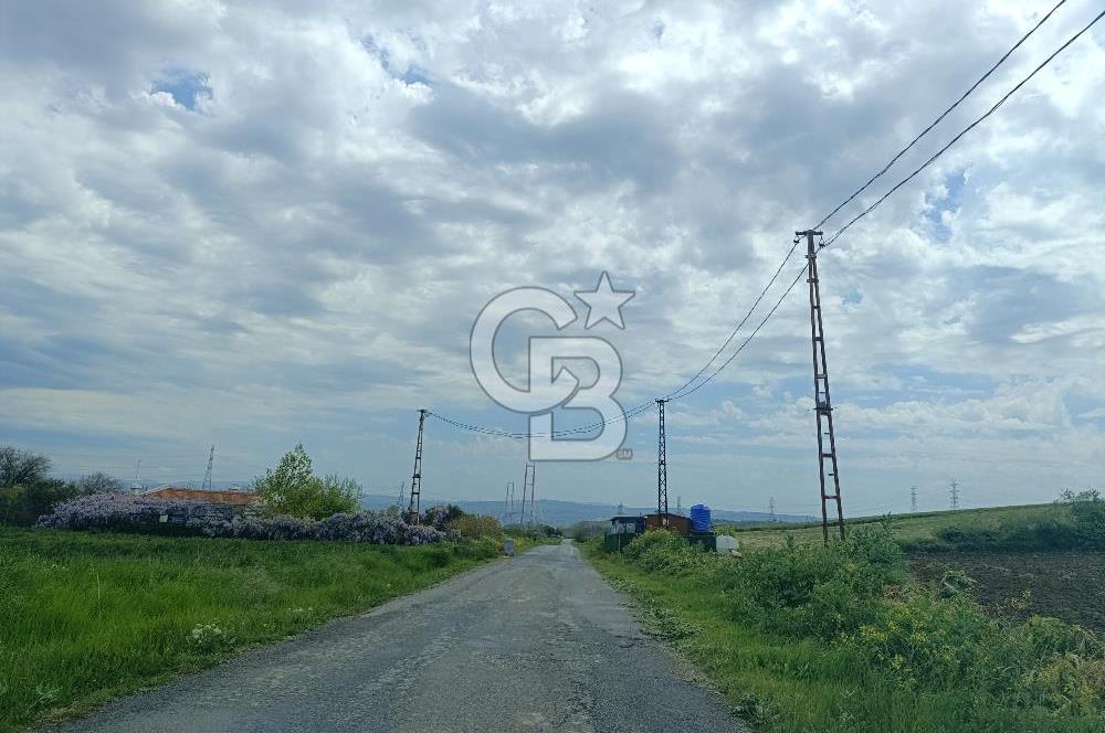 Gelibolu Cevizli Köyünde Köyiçi İmarlı Arsa