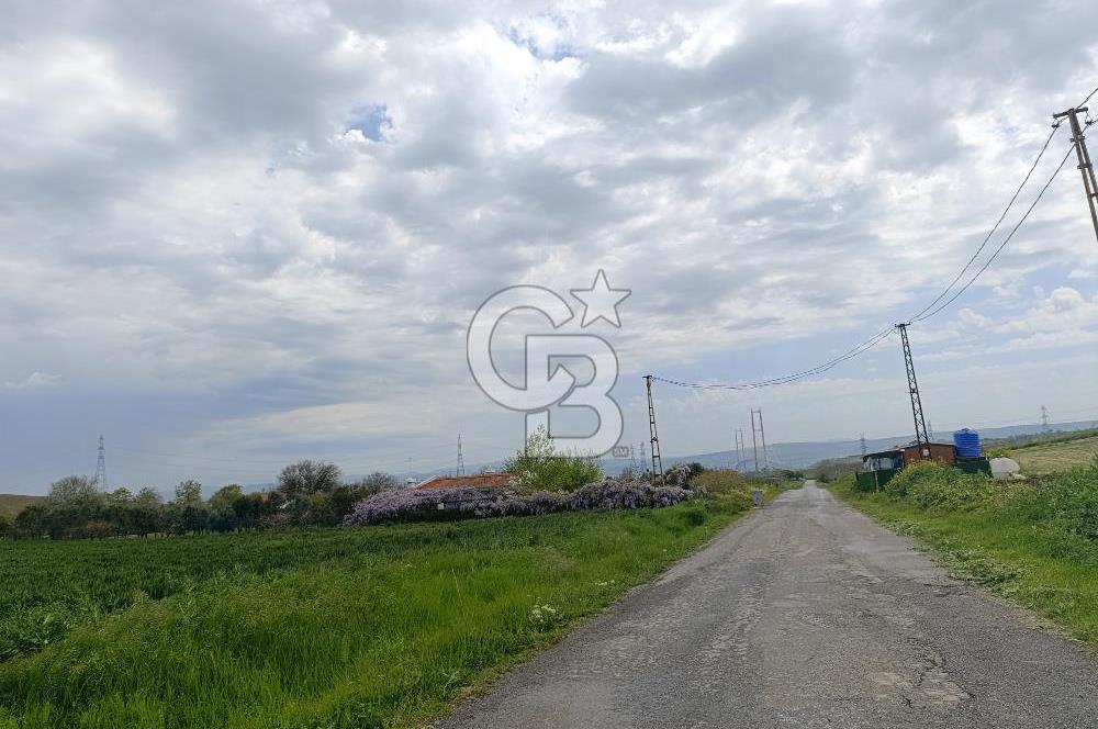 Gelibolu Cevizli Köyünde Köyiçi İmarlı Arsa