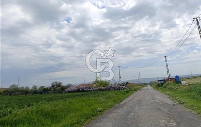 Gelibolu Cevizli Köyünde Köyiçi İmarlı Arsa